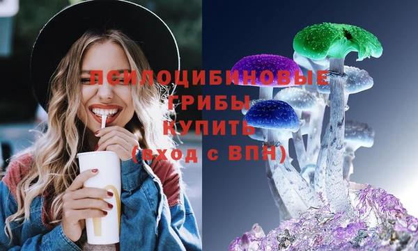 индика Богданович